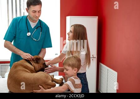 famiglia con il cane è venuto a controllare per l'esame annuale, donna di controllo. e figlio sono preoccupati per la salute del loro cane Foto Stock