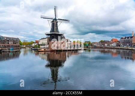 Paesi Bassi, Olanda settentrionale, Haarlem, canale fluviale Spaarne e mulino a vento De Adriaan Foto Stock