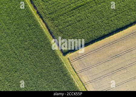 Germania, Baden-Wurttemberg, veduta aerea dei campi di grano e grano in estate Foto Stock