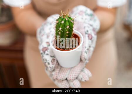 Primo piano di giovane donna che tiene la pianta di cactus nel cortile Foto Stock