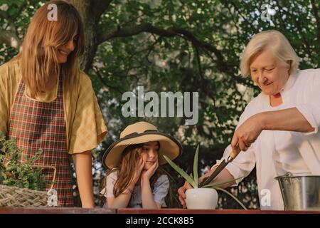 Donna anziana che pianta sulla tavola mentre sta con la famiglia dentro iarda Foto Stock