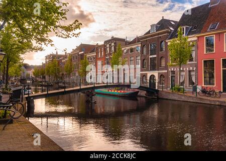 Olanda, Sud Olanda, Leida, Ponte e case storiche sul canale Oude Rijn Foto Stock