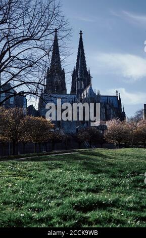 Germania, Nord Reno-Westfalia, Colonia, Cattedrale di Colonia in autunno Foto Stock