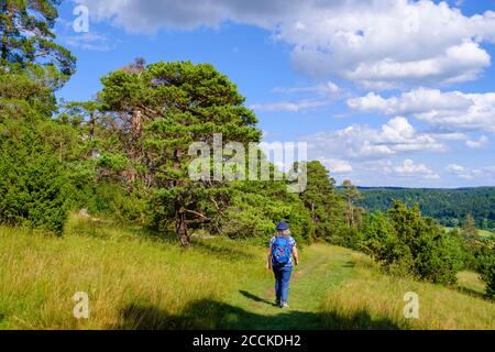 Donna anziana trekking nel Parco Naturale della Valle di Altmuhl durante la primavera Foto Stock