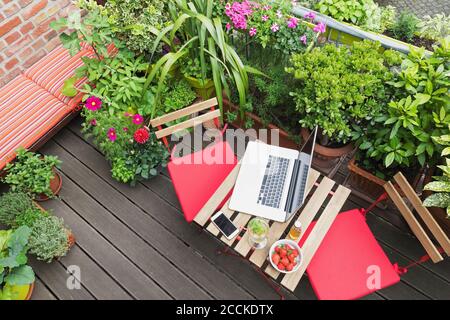 Computer portatile sdraiato su un tavolo da balcone circondato da varie erbe estive e fiori Foto Stock