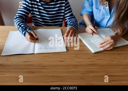 Tutor femminile con ragazzo che studia a casa Foto Stock