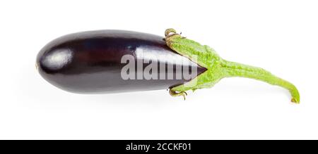 Verdure fresche poste orizzontalmente su uno sfondo bianco isolato in uno studio fotografico - melanzane viola con un gambo verde della famiglia delle squash. Foto Stock