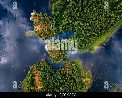 Vista aerea della foresta verde che circonda il fiume Vuoksi in estate Foto Stock