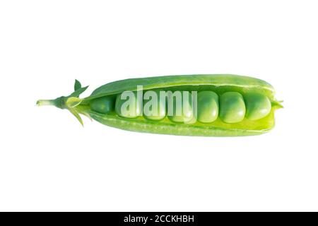 Piselli verdi freschi con fagioli isolati su sfondo bianco. Piselli dolci in primo piano isolati su bianco con percorso di ritaglio. I baccelli di piselli aperti con i fagioli sono Foto Stock