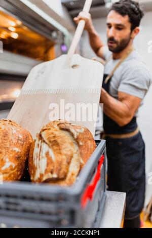 Panettiere con pane cotto in piedi al forno Foto Stock