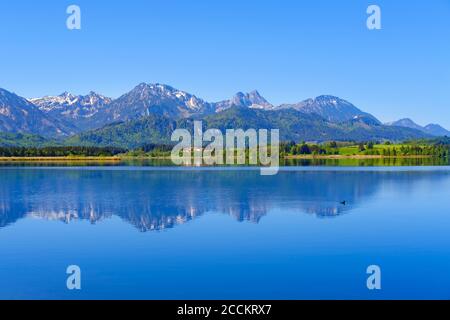 Vista panoramica delle montagne di Tannheim che si riflettono nel lago Hopfensee Foto Stock