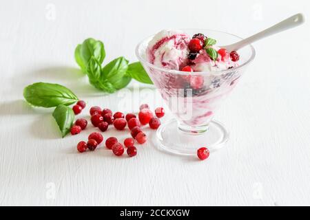 Gelato di frutta fresca in recipiente di vetro, foglie di basilico verde aromatico e mirtilli congelati su sfondo bianco. Foto Stock