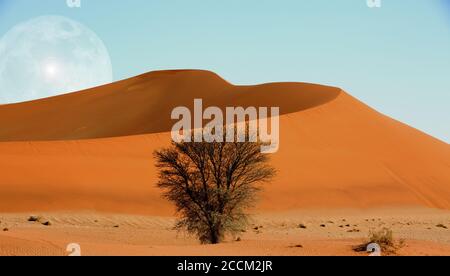 Duna di sabbia nel Parco Nazionale Naukluft Namib, con la luna che oscura sul bordo della duna con un cespuglio che cresce dalla sabbia Foto Stock