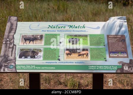 Mesa Falls Scenic Byway, Idaho / USA - 20 luglio 2014: Un segno che mostra informazioni sulla natura e la fauna selvatica nella foresta circostante di Mesa Falls SC Foto Stock