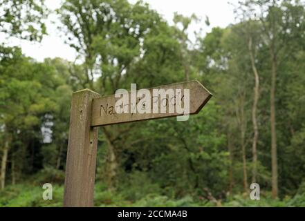 Segnaletica per le grotte di roccia di Nanny sul bordo di Kinver, Staffordshire, Inghilterra, Regno Unito. Foto Stock