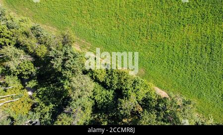 Vista aerea della campagna italiana con motivi disegnati dalle strade e prati Foto Stock