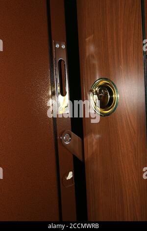 Cerniera, serratura infrangibile e accessori per porte in acciaio. Sistema di serratura decorativa in acciaio. Foto Stock