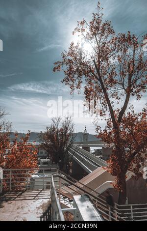 Paesaggio urbano autunno verticale ad ampio angolo con un lungo passaggio pedonale in alto che segue un faro vicino al fiume in lontananza, un albero ingiallito Foto Stock