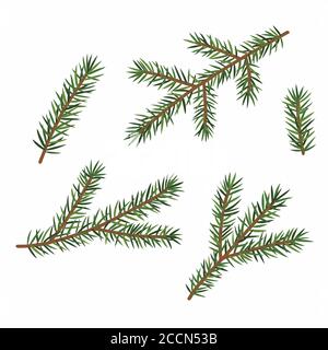 Rami verdi di un albero di Natale, insieme, isolato su sfondo bianco. Illustrazione Vettoriale