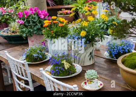 Ci sono un sacco di piante succulente sono nel piatto e la tazza da tè sul tavolo, che è esposto nella cupola di fiori del giardino presso la baia di Singapore. Foto Stock