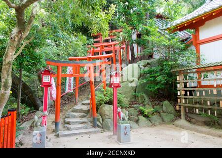 Fukoka, Giappone - Santuario di Dazaifu Tenmangu a Dazaifu, Fukuoka, Giappone. Il Santuario è stato originariamente costruito nel 919. Foto Stock