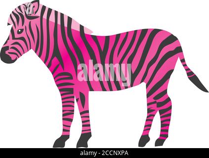 illustrazione vettoriale di una zebra rosa. sfondo di un cartone animato di animali selvatici. Illustrazione Vettoriale