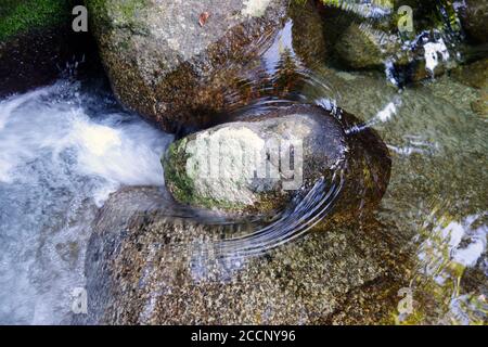 Acque perfettamente limpide che scorrono sulle rocce in un ruscello della foresta pluviale a Bartle Frere, Wooroonooran National Park, Queensland, Australia Foto Stock