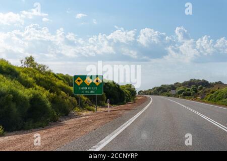 Pannello sul lato di una strada australiana, attenzione sulla fauna locale: Emus, canguri, istutrini. Un sacco di fauna selvatica muore sulla strada. Australia Foto Stock