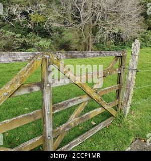 rustico cancello di recinzione in legno fattoria con muschio e paddock erba Foto Stock