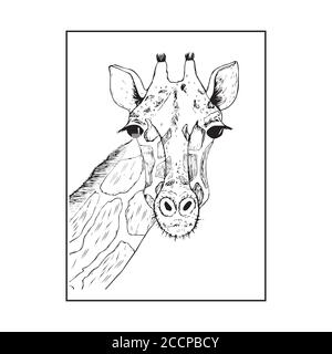 la testa di un disegno di giraffa vettore grafica nero e. disegno bianco Illustrazione Vettoriale