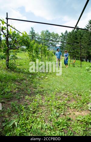 Coppia a piedi in fattoria Foto Stock