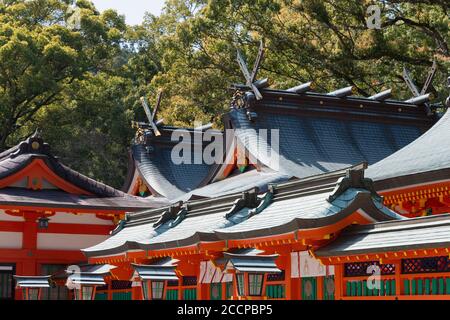 Wakayama, Giappone - Santuario di Kumano Hayatama Taisha a Shingu, Wakayama, Giappone. Fa parte del patrimonio dell'umanità dell'UNESCO. Foto Stock