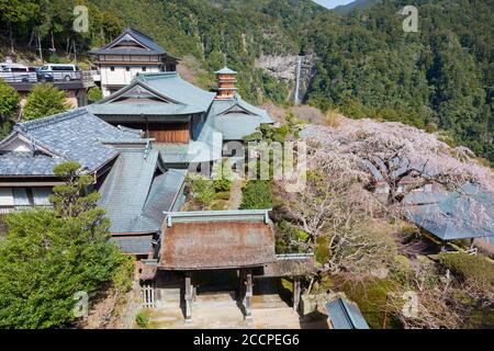 Wakayama, Giappone - Tempio di Seigantoji a Nachikatsuura, Wakayama, Giappone. Fa parte del Patrimonio Mondiale dell'Umanità. Foto Stock