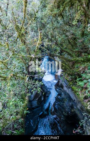 Un po' rapido flusso scorre attraverso un piccolo e stretto canyon nel mezzo della temperata foresta pluviale. Foto Stock