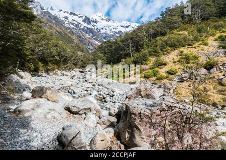 Nel Parco Nazionale di Arthur's Pass, sull'Isola del Sud della Nuova Zelanda, il rapido fiume glaciale scorre attraverso la temperata area della foresta pluviale. Enormi rocce si trovano nel fiume Foto Stock