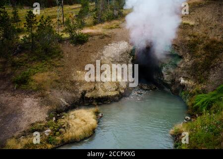 Steam esce dalla sorgente Dragon's Mouth Spring nel parco nazionale di Yellowstone. Foto Stock