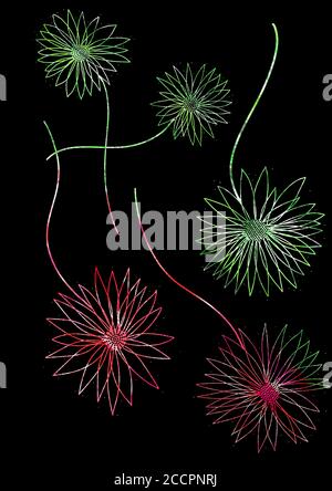 Illustrazione digitale dei fiori verdi e rosa su sfondo nero Foto Stock
