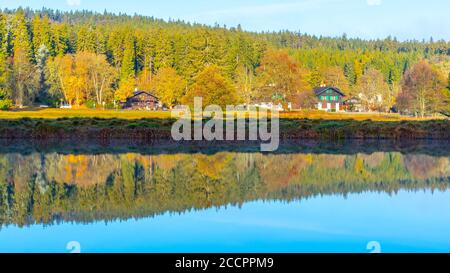 Alberi riflessi nello stagno. Kladska torba Bog National Reserve vicino Marianske Lazne, Repubblica Ceca. Foto Stock