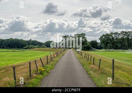 Stretta strada di campagna su una diga tra prati e boschi Vicino a Zwolle nei Paesi Bassi Foto Stock