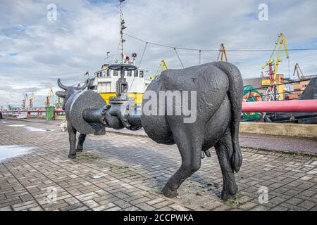 Scultura Cow di petrolio o nero lettone sulla passeggiata Ostas Street di Ventspils. Molte sculture di mucche sono state presentate durante gli eventi artistici della Cow Parade Foto Stock