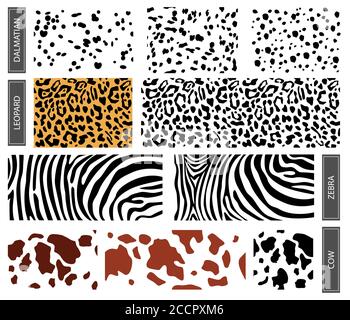 Impostare la ripetizione della trama di stampa con motivo dalmazia, leopardo e mucca. Motivo senza cuciture di dalmazia, macchie leopardo. Sfondo orizzontale, marrone macchie caotiche isolato su bianco. Illustrazione Vettoriale