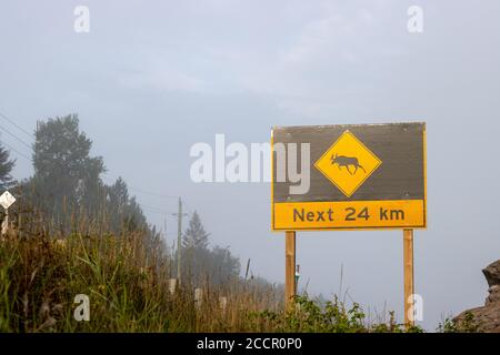 Ampio segnale di avvertimento per alci lungo l'autostrada in Canada Foto Stock