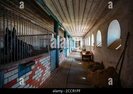 Vecchia scuderia storica con box di cavalli sciolti, vista sul tunnel Foto Stock