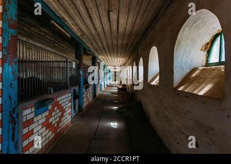 Vecchia scuderia storica con box di cavalli sciolti, vista sul tunnel Foto Stock