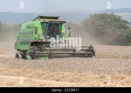 Mietitrebbia Deutz-Fahr 4065 che taglia il raccolto di grano 2020 nel Regno Unito nelle giornate estive calde e riempie l'aria di polvere. Aspo a denti e cabina operatore visibili. Vedere LE NOTE Foto Stock