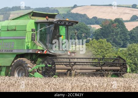 Mietitrebbia Deutz-Fahr 4065 che taglia il raccolto di grano 2020 nel Regno Unito nelle giornate estive calde e riempie l'aria di polvere. Aspo a denti e cabina operatore visibili. Vedere LE NOTE Foto Stock