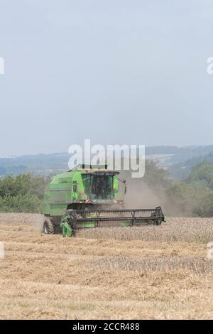 Mietitrebbia Deutz-Fahr 4065 che taglia il raccolto di grano 2020 nel Regno Unito nelle giornate estive calde e riempie l'aria di polvere. Aspo a denti e cabina operatore visibili. Vedere LE NOTE Foto Stock