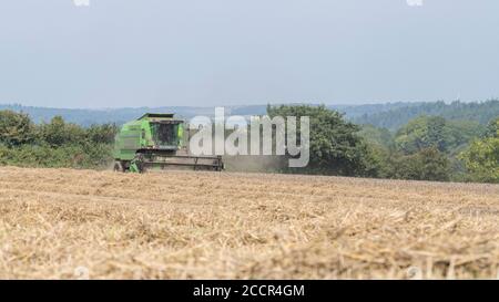 Mietitrebbia Deutz-Fahr 4065 che taglia il raccolto di grano 2020 nel Regno Unito nelle giornate estive calde e riempie l'aria di polvere. Aspo a denti e cabina operatore visibili. Vedere LE NOTE Foto Stock