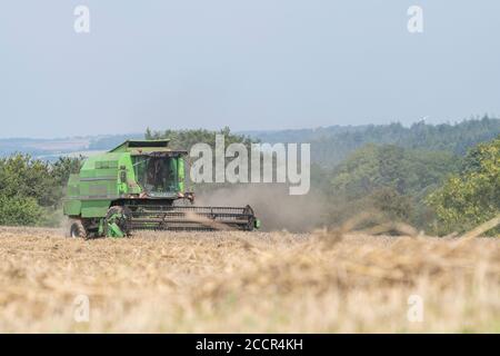 Mietitrebbia Deutz-Fahr 4065 che taglia il raccolto di grano 2020 nel Regno Unito nelle giornate estive calde e riempie l'aria di polvere. Aspo a denti e cabina operatore visibili. Vedere LE NOTE Foto Stock