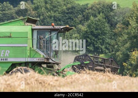 Mietitrebbia Deutz-Fahr 4065 che taglia il raccolto di grano 2020 nel Regno Unito nelle giornate estive calde e riempie l'aria di polvere. Aspo a denti e cabina operatore visibili. Grano britannico. Foto Stock